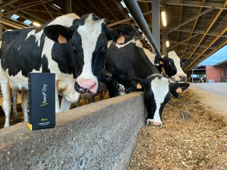 Proven efficacy in preventing bacterial penetration